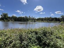 2024 08 25 JU Rhein Revier 04