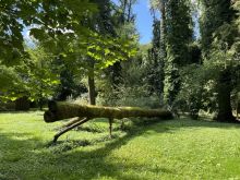 2024 08 25 JU Rhein Revier 05